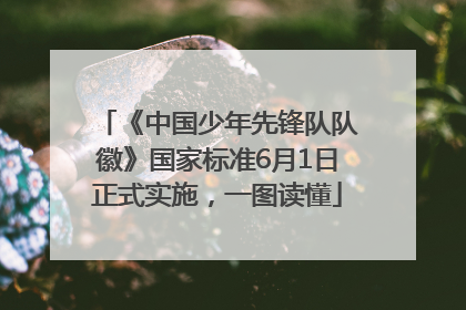《中国少年先锋队队徽》国家标准6月1日正式实施，一图读懂