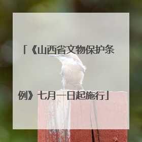《山西省文物保护条例》七月一日起施行