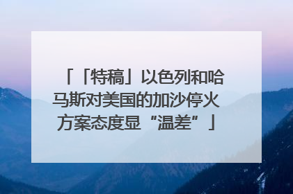 「特稿」以色列和哈马斯对美国的加沙停火方案态度显“温差”