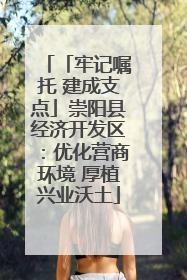 「牢记嘱托 建成支点」崇阳县经济开发区：优化营商环境 厚植兴业沃土