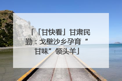 「甘快看」甘肃民勤：戈壁沙乡孕育“甘味”领头羊