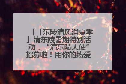 「东陵清风消夏季」清东陵暑期特别活动，“清东陵大使”招募啦！用你的热爱守护世界遗产！