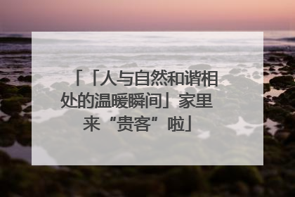 「人与自然和谐相处的温暖瞬间」家里来“贵客”啦