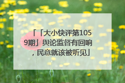 「大小快评第1059期」舆论监督有回响，民意就该被听见