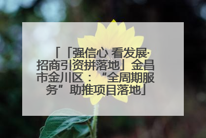 「强信心 看发展·招商引资拼落地」金昌市金川区：“全周期服务”助推项目落地