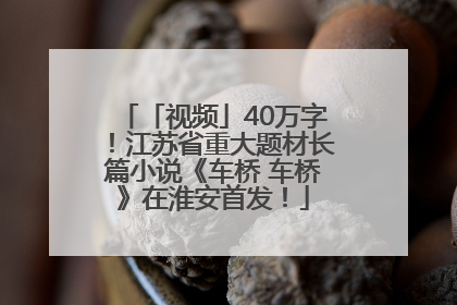 「视频」40万字！江苏省重大题材长篇小说《车桥 车桥》在淮安首发！