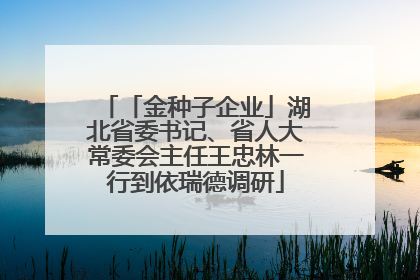 「金种子企业」湖北省委书记、省人大常委会主任王忠林一行到依瑞德调研