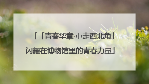 「青春华章·重走西北角」闪耀在博物馆里的青春力量