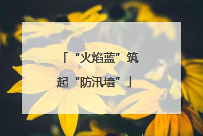 “火焰蓝”筑起“防汛墙”
