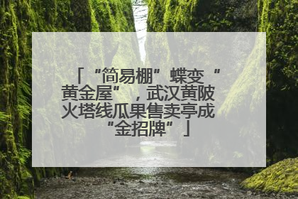 “简易棚”蝶变“黄金屋”，武汉黄陂火塔线瓜果售卖亭成“金招牌”