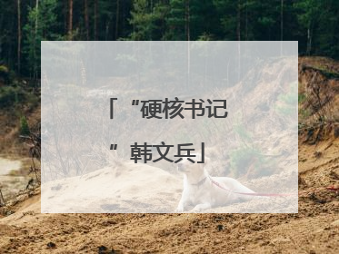 “硬核书记”韩文兵