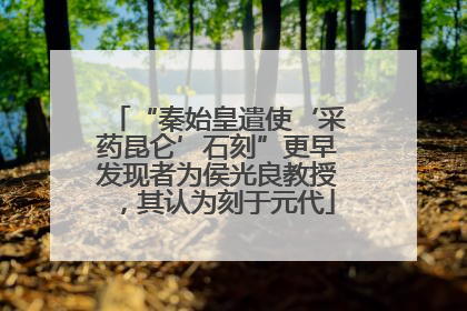 “秦始皇遣使‘采药昆仑’石刻”更早发现者为侯光良教授，其认为刻于元代