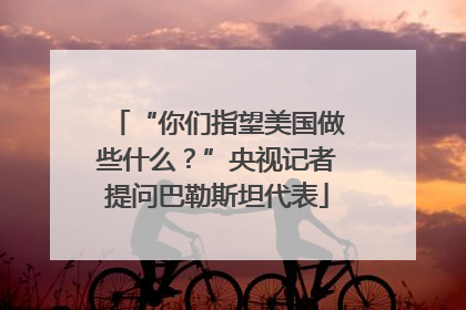 “你们指望美国做些什么？”央视记者提问巴勒斯坦代表
