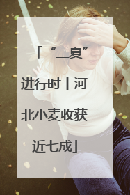 “三夏”进行时丨河北小麦收获近七成
