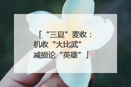 “三夏”麦收：机收“大比武” 减损论“英雄”