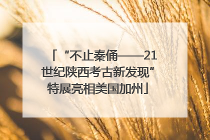 “不止秦俑——21世纪陕西考古新发现”特展亮相美国加州