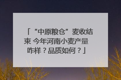 “中原粮仓”麦收结束 今年河南小麦产量咋样？品质如何？