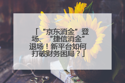 “京东消金”登场、“捷信消金”退场！新平台如何打破财务困局？