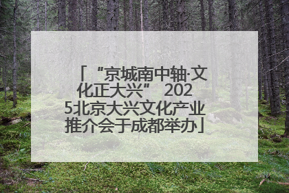 “京城南中轴·文化正大兴” 2025北京大兴文化产业推介会于成都举办