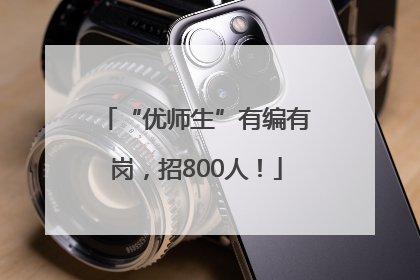 “优师生”有编有岗，招800人！