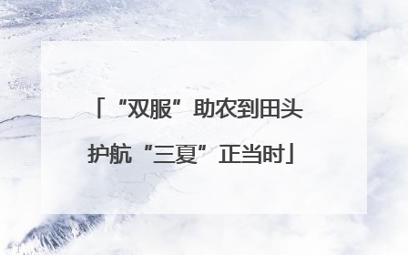 “双服”助农到田头 护航“三夏”正当时