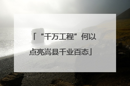 “千万工程”何以点亮嵩县千业百态