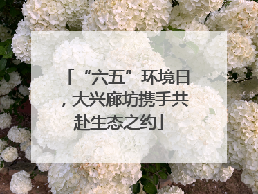 “六五”环境日，大兴廊坊携手共赴生态之约