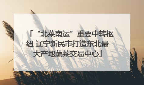 “北菜南运”重要中转枢纽 辽宁新民市打造东北最大产地蔬菜交易中心
