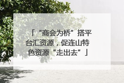 “商会为桥”搭平台汇资源，促连山特色资源“走出去”