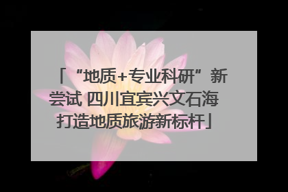 “地质+专业科研”新尝试 四川宜宾兴文石海打造地质旅游新标杆