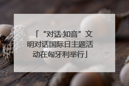 “对话·知音”文明对话国际日主题活动在匈牙利举行