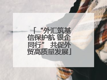 “外汇筑基 信保护航 银企同行” 共促外贸高质量发展