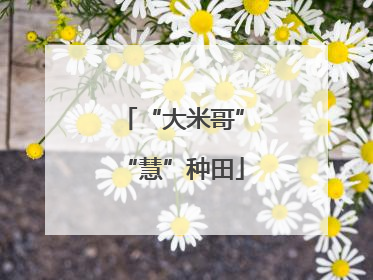 “大米哥”“慧”种田