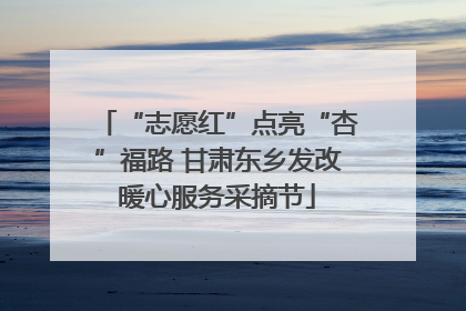 “志愿红”点亮“杏”福路 甘肃东乡发改暖心服务采摘节