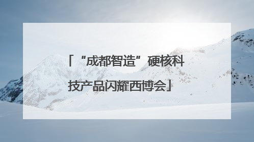 “成都智造”硬核科技产品闪耀西博会