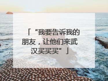 “我要告诉我的朋友，让他们来武汉买买买”