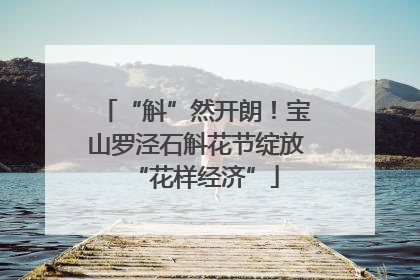 “斛”然开朗！宝山罗泾石斛花节绽放“花样经济”