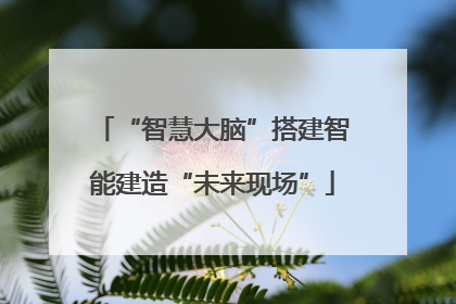 “智慧大脑”搭建智能建造“未来现场”