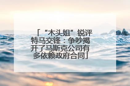 “木头姐”锐评特马交锋：争吵揭开了马斯克公司有多依赖政府合同