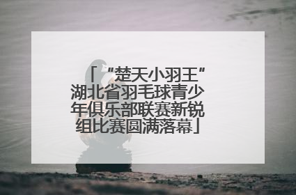 “楚天小羽王”湖北省羽毛球青少年俱乐部联赛新锐组比赛圆满落幕