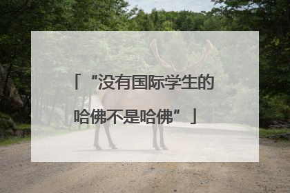 “没有国际学生的哈佛不是哈佛”