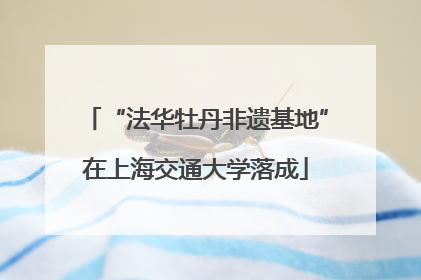 “法华牡丹非遗基地”在上海交通大学落成