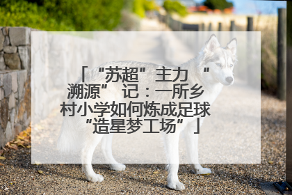 “苏超”主力 “溯源” 记：一所乡村小学如何炼成足球 “造星梦工场”