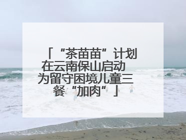“茶苗苗”计划在云南保山启动 为留守困境儿童三餐“加肉”