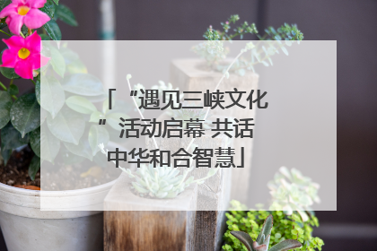 “遇见三峡文化”活动启幕 共话中华和合智慧