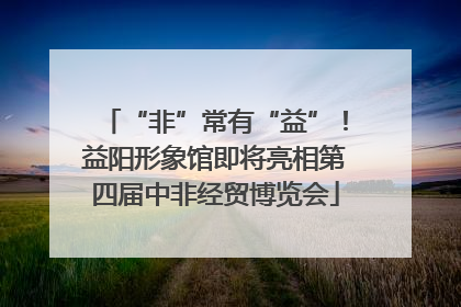 “非”常有“益”！益阳形象馆即将亮相第四届中非经贸博览会