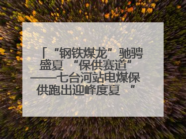 “钢铁煤龙”驰骋盛夏 “保供赛道”——七台河站电煤保供跑出迎峰度夏 “加速度”