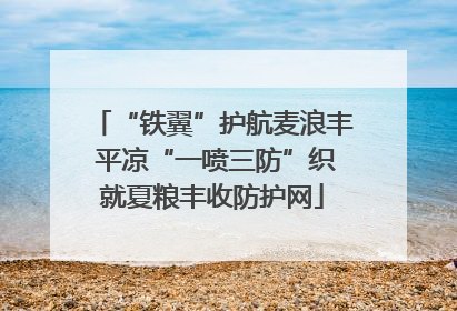 “铁翼”护航麦浪丰 平凉“一喷三防”织就夏粮丰收防护网