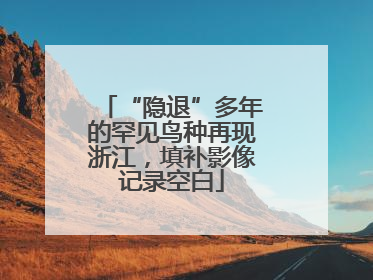 “隐退”多年的罕见鸟种再现浙江，填补影像记录空白