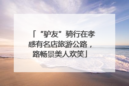 “驴友”骑行在孝感有名店旅游公路，路畅景美人欢笑